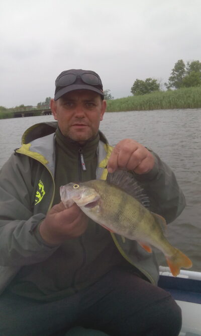 Northern Pike, 3.2 kg — Virintai
