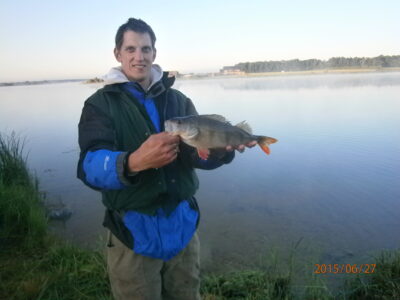 Eurasian perch, 0.8 kg — Bublių