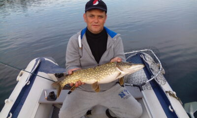 Northern Pike, 3.2 kg — Virintai