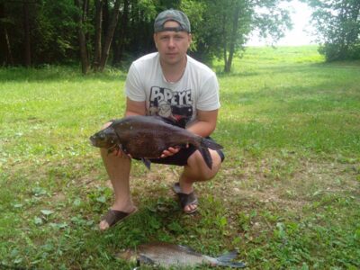 Carp bream, 2.8 kg — Čičirys