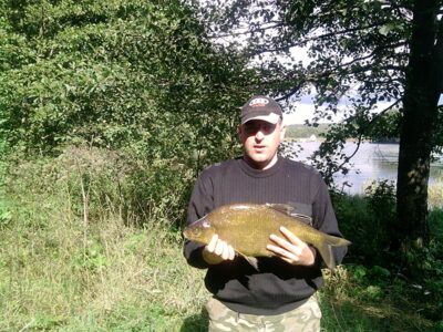 Carp bream — Krūminių