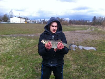 chub, 1.3 kg