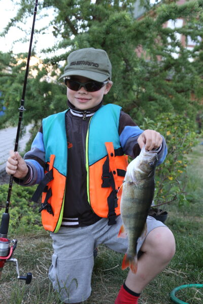 Eurasian perch, 0.6 kg — Ilgis