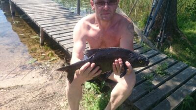 Carp bream — Auslas