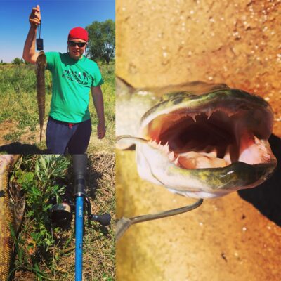 Northern Pike, 2.4 kg — Neman River