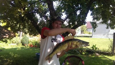 Pike perch, 3.6 kg — Veisiejis