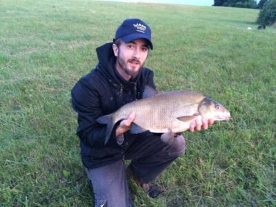 Carp bream, 2.6 kg
