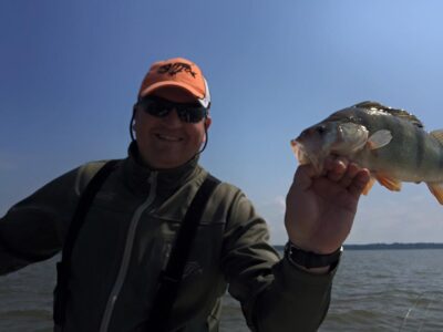Eurasian perch, 1.2 kg
