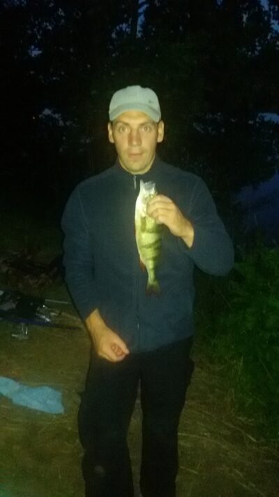 Eurasian perch, 0.5 kg