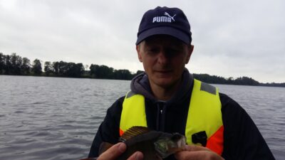 Eurasian perch ×4 — Karvys