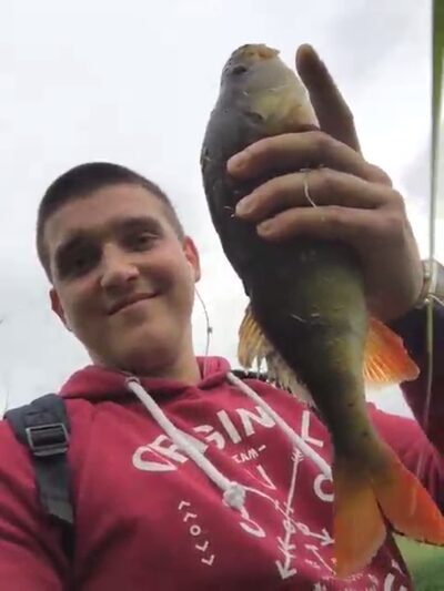 Eurasian perch, 0.3 kg