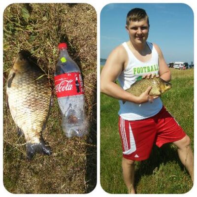 Crucian carp, 2.5 kg — Elektrėnai reservoir