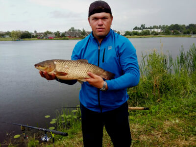 Grass carp, 3.3 kg