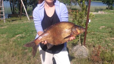 Carp bream, 3.9 kg — Ančia
