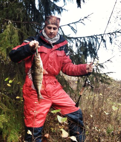 Eurasian perch