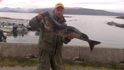 Pollock, 7.5 kg — Norwegian Sea