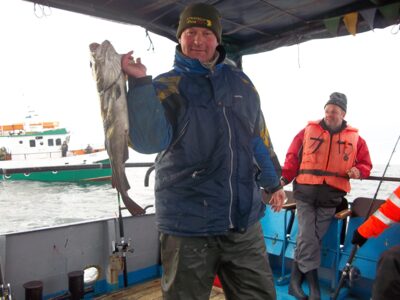 Atlantic cod, 3.4 kg — Baltic Sea