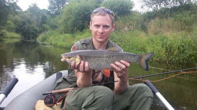 chub — Širvinta