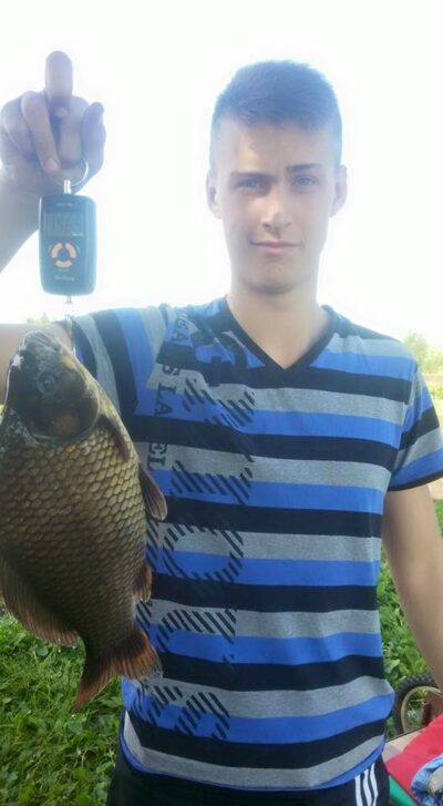Crucian carp, 1.5 kg