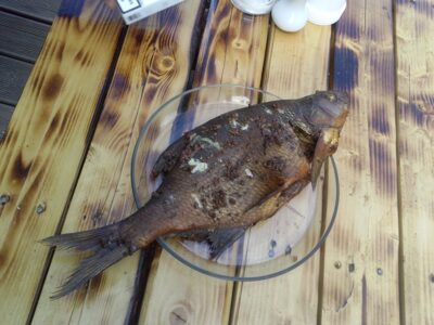 Carp bream, 1.0 kg