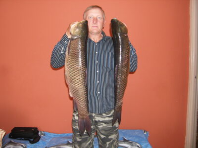 Grass carp, 4.3 kg — Liminas