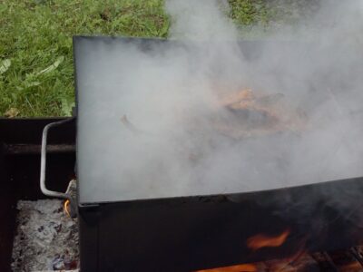 Carp bream