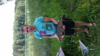 Carp bream, 2.5 kg — Čičirys