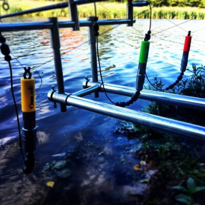 Carp