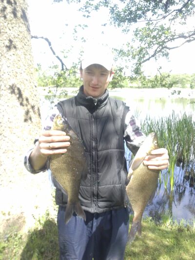 Carp bream