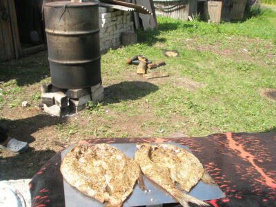 Carp bream ×9 — Asveja