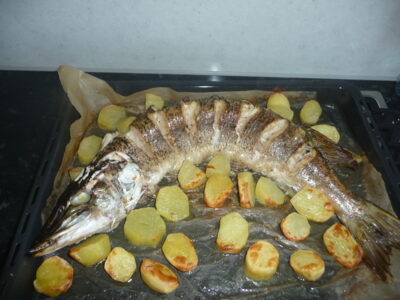 Northern Pike, 2.0 kg — Bubių