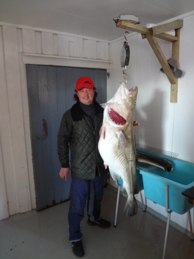 Pollock, 26.0 kg — Norwegian Sea
