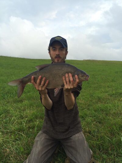 Carp bream, 3.1 kg