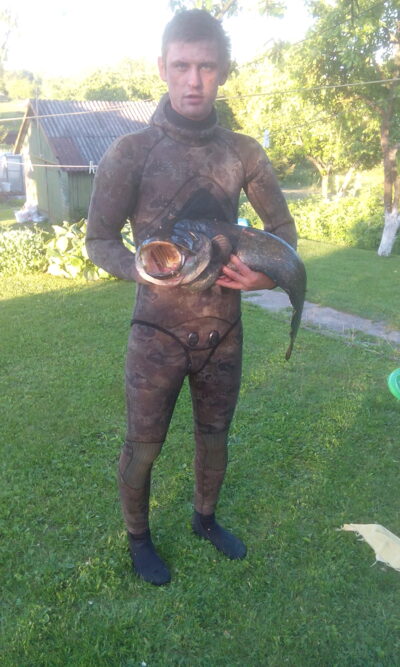 Wels catfish, 8.5 kg