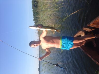 Northern Pike, 1.0 kg — Dringis