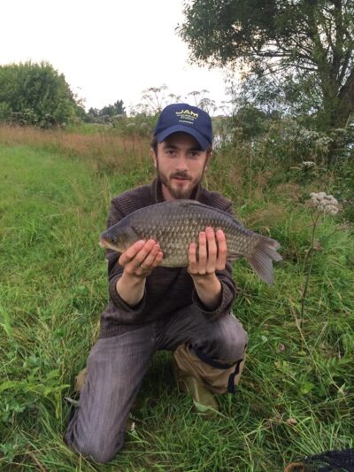 Prussian carp, 1.7 kg