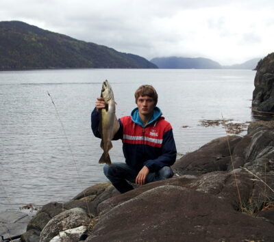 Pollock, 2.2 kg