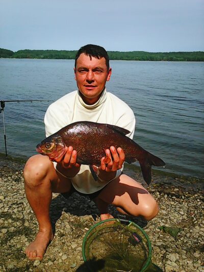 Carp bream, 2.7 kg