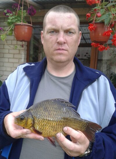 Crucian carp, 0.5 kg