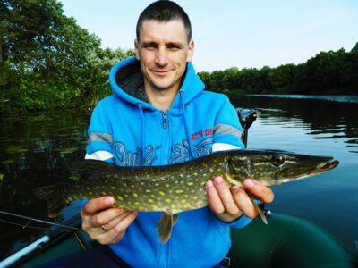 Northern Pike
