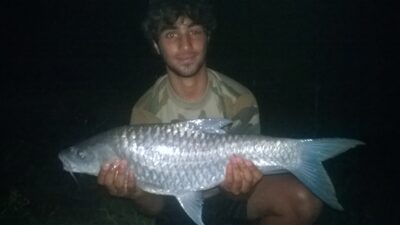 Deccan Mahseer, 6.0 kg