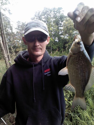 Crucian carp ×18