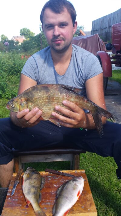 Carp bream, 1.2 kg