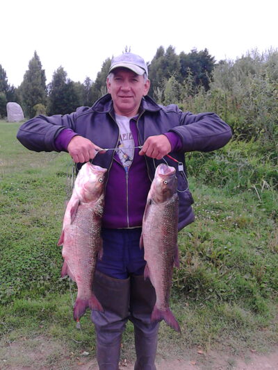 Asp, 4.4 kg