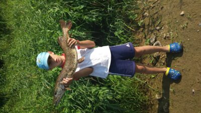 Northern Pike, 3.3 kg — Neman River