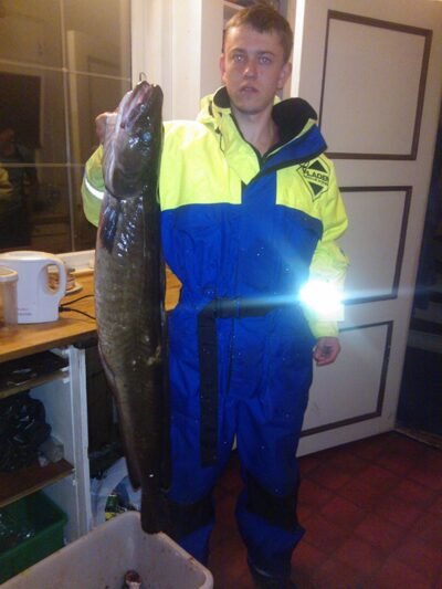 Common ling, 8.0 kg — Norwegian Sea