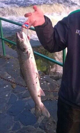 Atlantic salmon, 2.1 kg — Garavogue