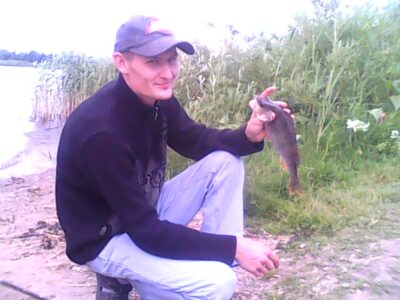 Eurasian perch, 0.3 kg — ATMATA