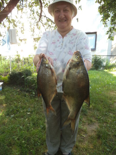 Carp bream, 1.1 kg — Nevėžis