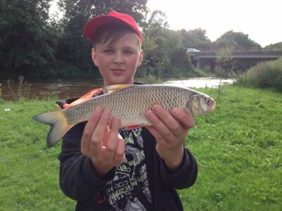 chub, 0.5 kg — Minija
